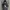 Stussy Streetwear Gorpcore Parka Pria black photo 1