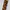Guess Vintage Wanita brown photo 5