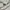 MCM Casual Leather jacket Wanita white photo 3