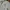 MCM Casual Leather Jacket Wanita White