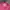 KIRSH Streetwear Sweater Wanita pink photo 5