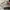 Adidas Streetwear Sneakers Wanita pink gray photo 2