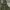 Champion Streetwear Y2K Hoody Pria green brown photo 6