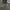 Champion Streetwear Y2K Hoody Pria green brown photo 4