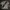 Sportswear Jersey Pria white photo 1
