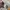 Lafudge Streetwear Windbreaker Pria tan photo 6