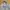 Lafudge Streetwear Windbreaker Pria tan photo 4