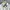Polo Ralph Lauren Casual Casual shirt Pria white photo 4