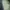 Polo Ralph Lauren Luxury Casual Polo shirt Pria green photo 5