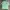 Polo Ralph Lauren Luxury Casual Polo Shirt Pria Green