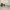 Yohji Yamamoto Avant Garde Sunglass Pria brown photo 4