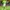 Nike Sportswear Jersey Pria green photo 2