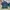 Nike Casual Polo shirt Pria navy photo 1