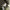 Champion Streetwear Reworked Hoody Pria multicolor photo 7