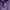 Hugo Boss Casual Sweater Pria purple photo 3