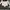 Tommy Hilfiger Streetwear Track jacket Pria white red photo 4