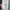 Hugo Boss Casual Polo shirt Pria multicolor photo 5