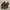Bohopanna Casual Sandals & Slide Pria Brown