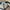 Streetwear Skater Hat Pria navy gray photo 3