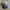 Streetwear Skater Hat Pria navy gray photo 1