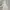 Superdry Minimalist Windbreaker Pria white cream photo 1