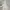 Superdry Minimalist Windbreaker Pria White Cream