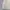 Superdry Minimalist Windbreaker Pria white cream photo 4