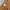 H&M Casual Fur Coat Wanita Tan