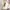ZARA Minimalist Summer dress Wanita white photo 3