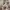ZARA Minimalist Summer dress Wanita white photo 1