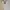 ZARA Minimalist Summer dress Wanita white photo 4