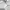 Nike Streetwear Sportswear Windbreaker Pria gray photo 6