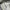 Nike Streetwear Y2K T-shirt Pria white gray photo 6