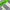 Nike Streetwear Y2K T-shirt Pria white gray photo 4