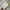 Onitsuka Tiger Streetwear Sneakers Wanita white gray photo 5