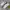 Onitsuka Tiger Streetwear Sneakers Wanita white gray photo 1