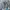 Nike Indie Casual Sneakers Pria silver gray photo 3