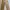 Streetwear Casual Casual pants Pria tan photo 1