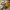 Nike Streetwear Casual Sneakers Pria brown orange photo 5