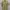Y2K Casual Casual shirt Pria tan photo 1