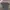 Adidas Sportswear Jersey Pria gray photo 1