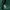 Streetwear Casual Hoody Pria green photo 7
