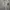 ZARA Minimalist Casual Formal shirt Pria white black photo 1