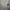 ZARA Minimalist Casual Formal shirt Pria white black photo 4