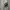 ZARA Minimalist Casual Formal shirt Pria white black photo 2