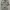Vintage Casual Casual shirt Pria white gray photo 1