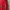 Hanes Vintage Sweatshirt Pria red photo 4
