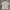 ZARA Indie Casual Casual shirt Pria white cream photo 1