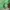 Vintage Streetwear Harrington jacket Pria green photo 6
