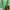 Vintage Streetwear Harrington jacket Pria green photo 5
